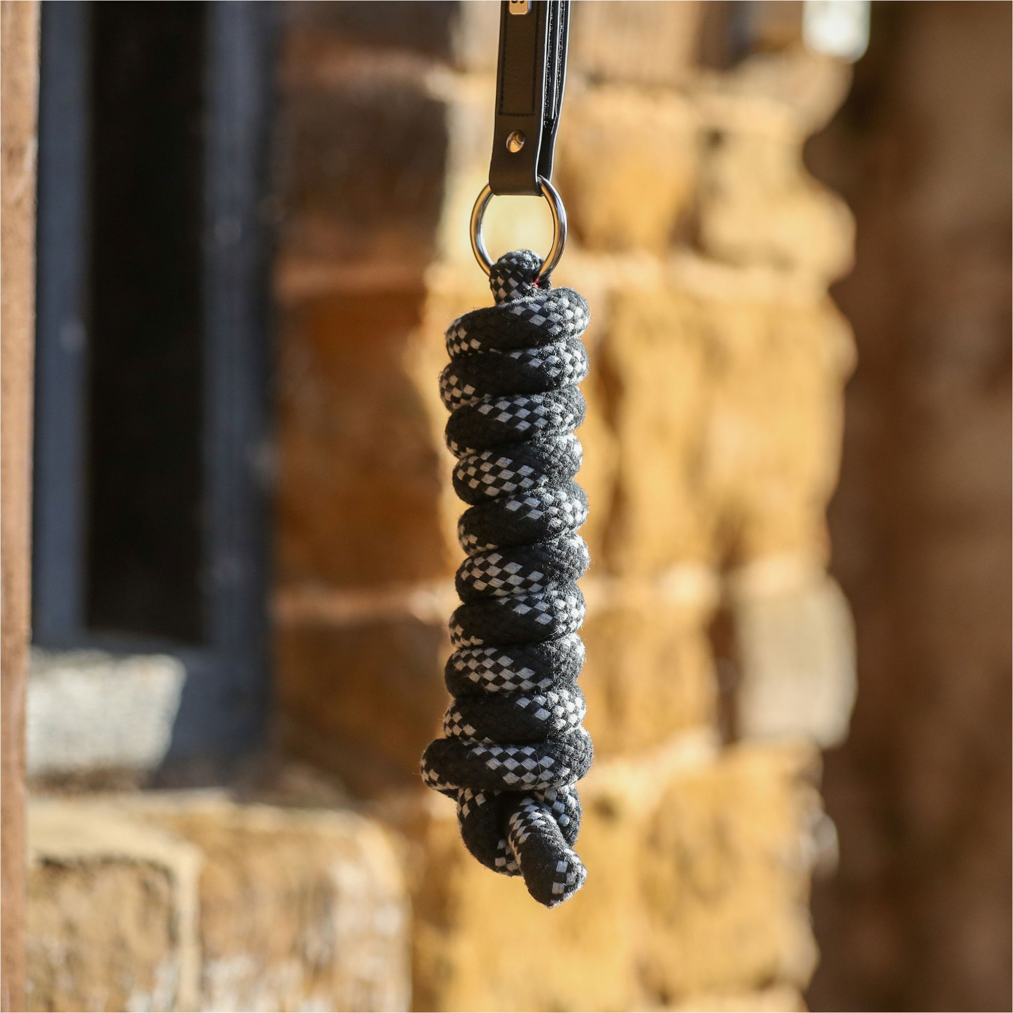 2026 Equilibrium Stellar Saftey Leadrope 32309 - Black
